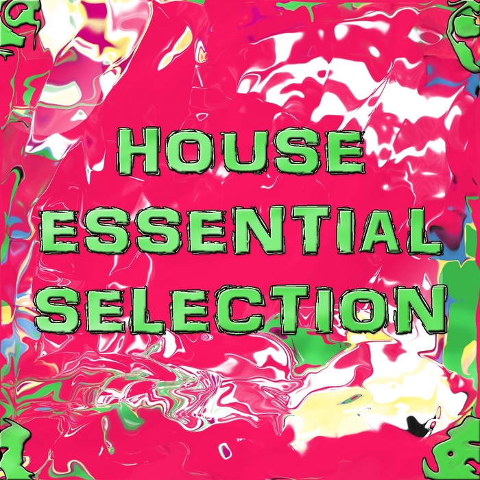 VARIOUS - House Essential Selection