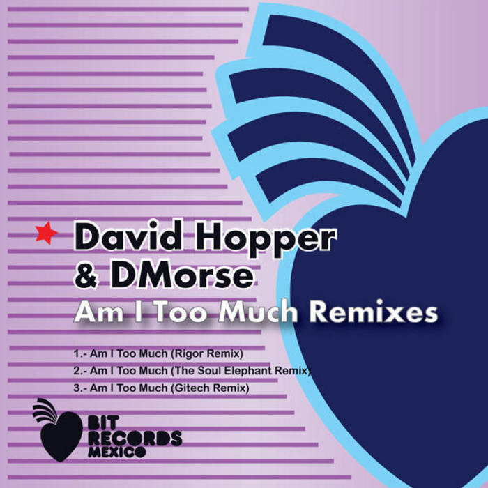 HOPPER, David & DMORSE - Am I Too Much (remixes)