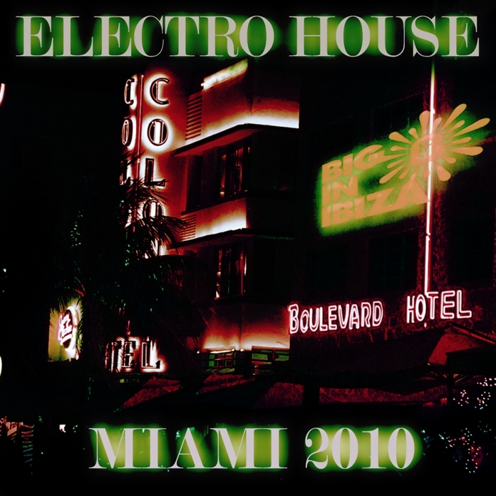 LOVE ASSASSINS/VARIOUS - Electro House Miami 2011 (unmixed tracks)