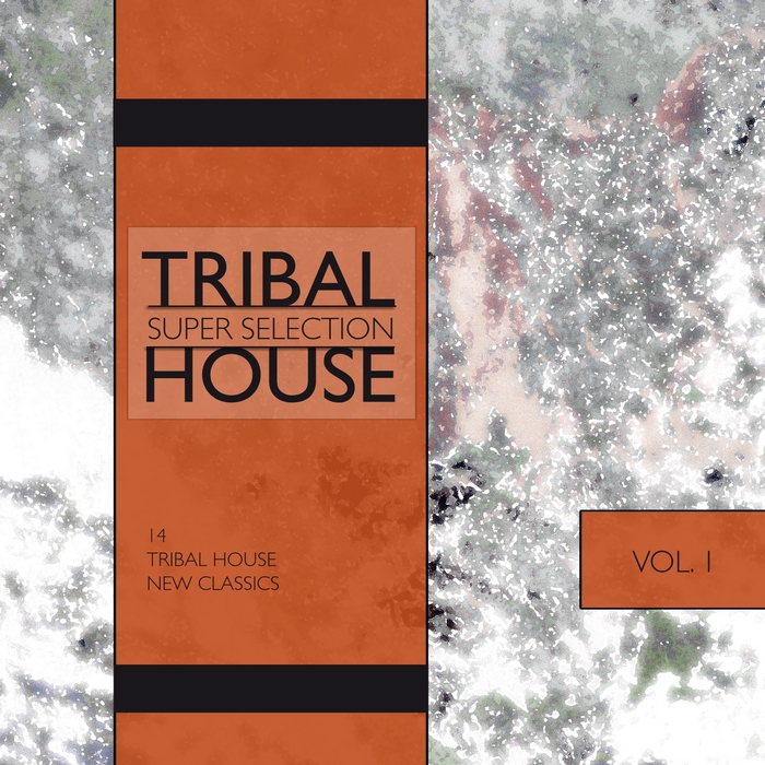 VARIOUS - Tribal House: Super Selection Vol 1