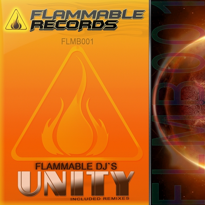 FLAMMABLE DJS - Unity