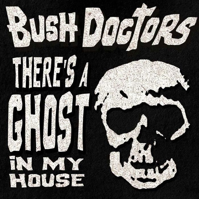 BUSH DOCTORS - There's A Ghost In My House