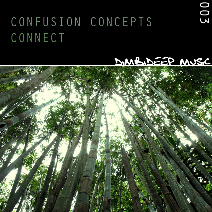 CONFUSION CONCEPTS - Connect EP