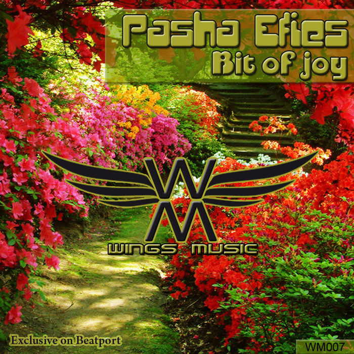 PASHA EFIES - Bit Of Joy