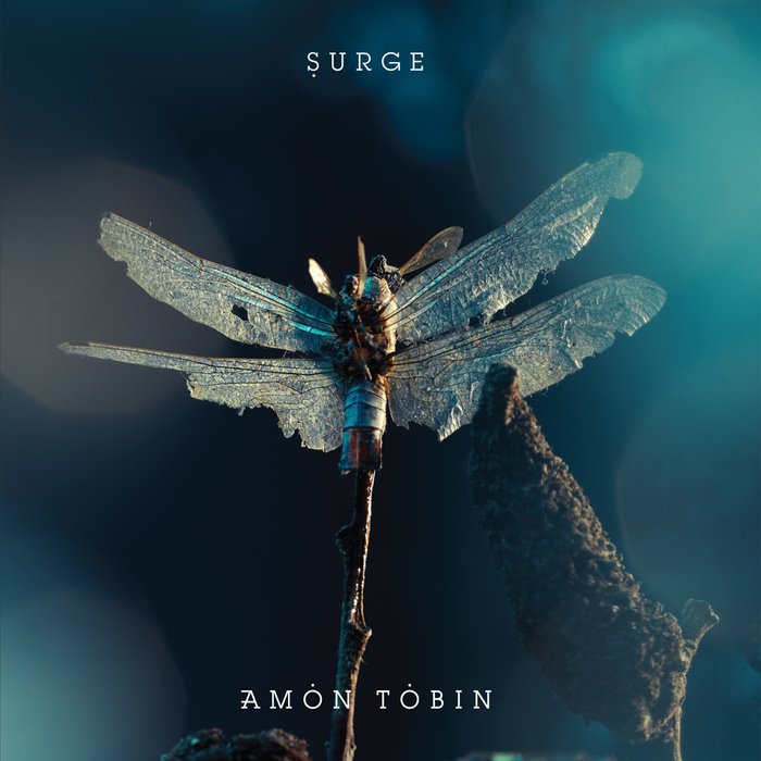 TOBIN, Amon - Surge