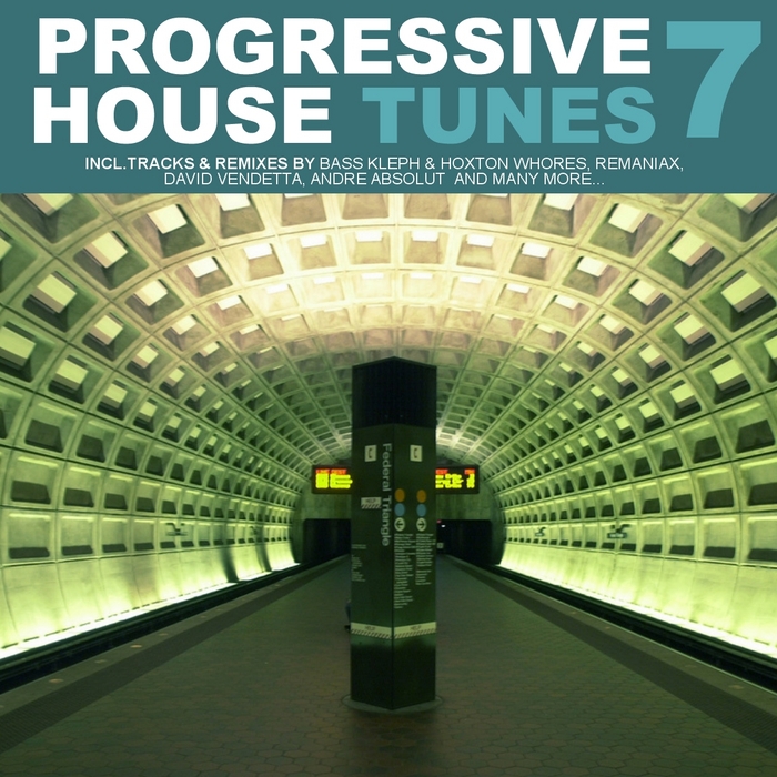 VARIOUS - Progressive House Tunes Vol 7