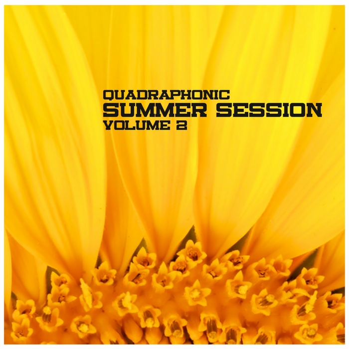 VARIOUS - Quadraphonic Summer Session Vol 2