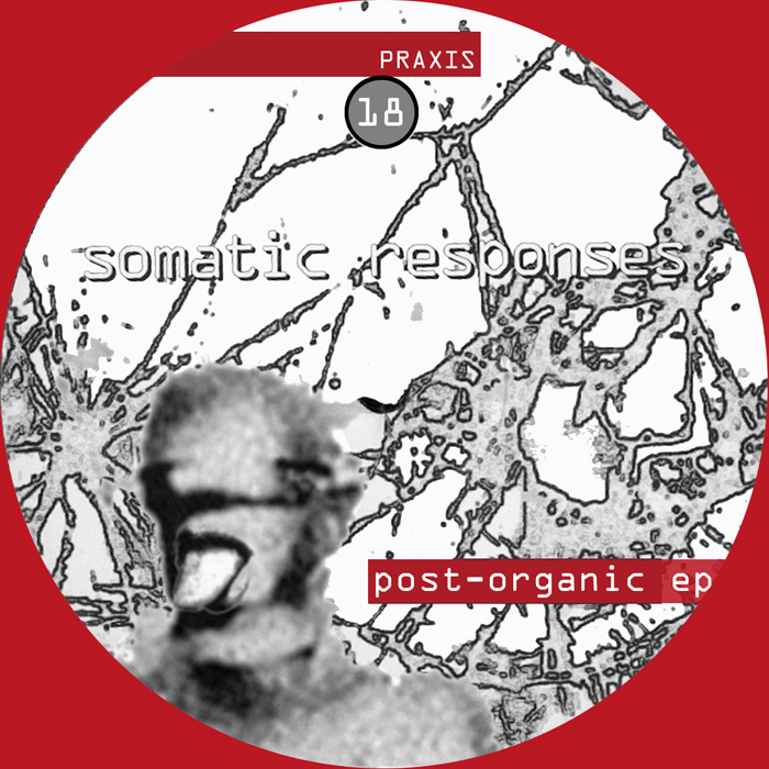 SOMATIC RESPONSES - Post Organic EP