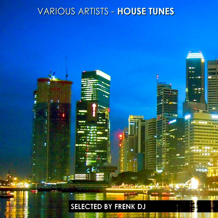 FRENK DJ/VARIOUS - House Tunes (selected by Frenk DJ)
