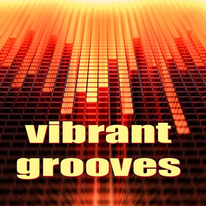 OUTWORK - Vibrant Grooves (feat progressive electro mix by Outwork)