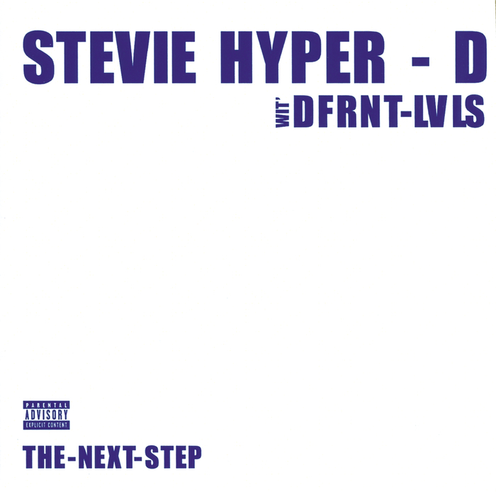 DIFFERENT LEVELS/STEVIE HYPER-D - The Next Step