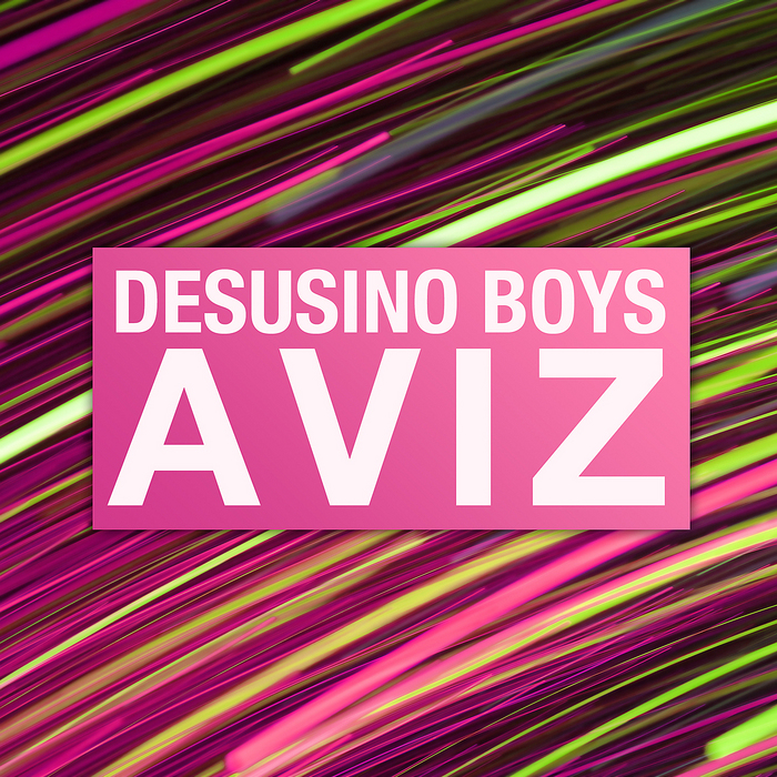 DESUSINO BOYS - Aviz EP