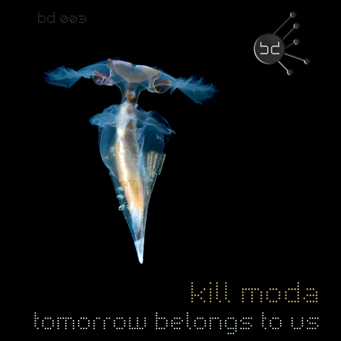 KILL MODA - Tomorrow Belongs To Us