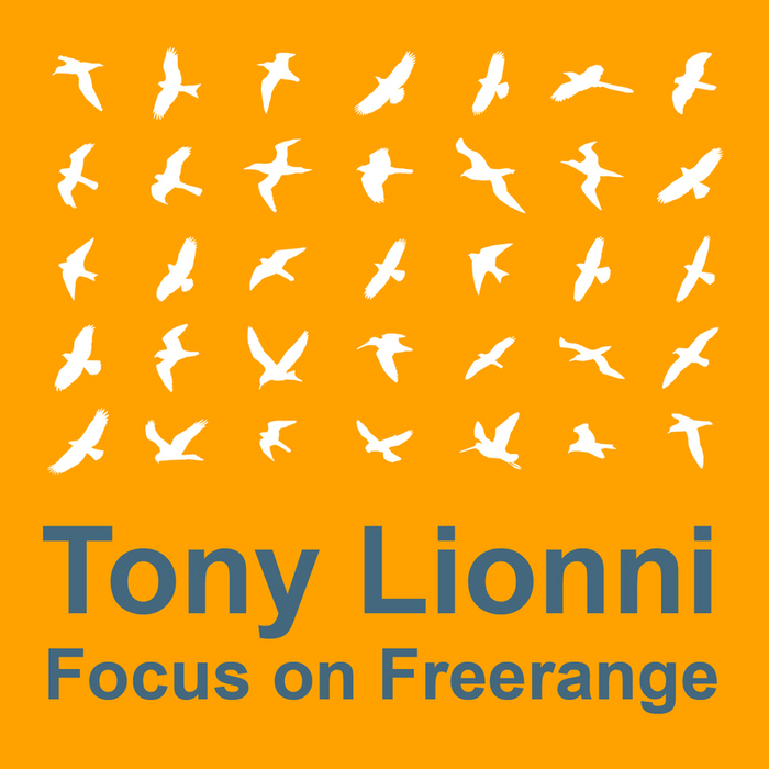 TONY LIONNI/VARIOUS - Focus On Freerange: Tony Lionni (unmixed Tracks)