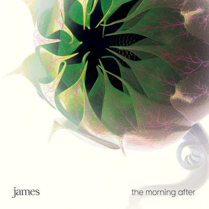 JAMES - The Morning After