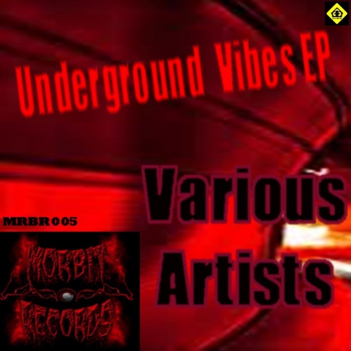 DIGITAL GOON/SILENC3/TOKSICK/ILLUSIVE AFTERMATH - Underground Vibes EP