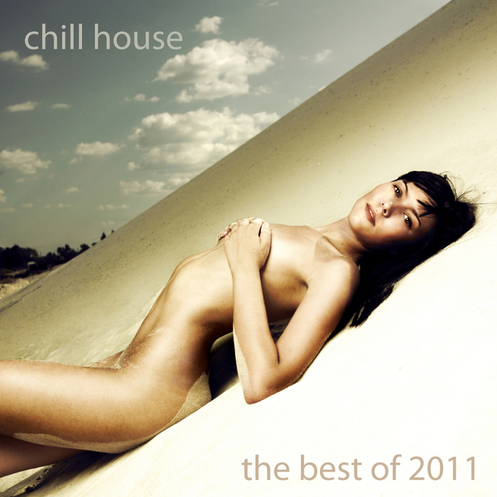 VARIOUS - Chill House: The Best Of 2011
