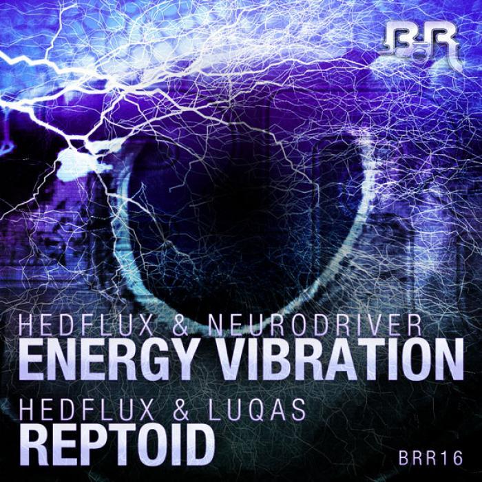HEDFLUX/VARIOUS - Energy Vibration, Reptoid
