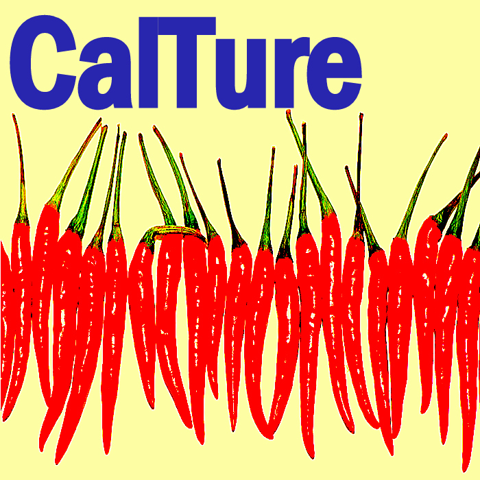 CALTURE - Travelling Twice