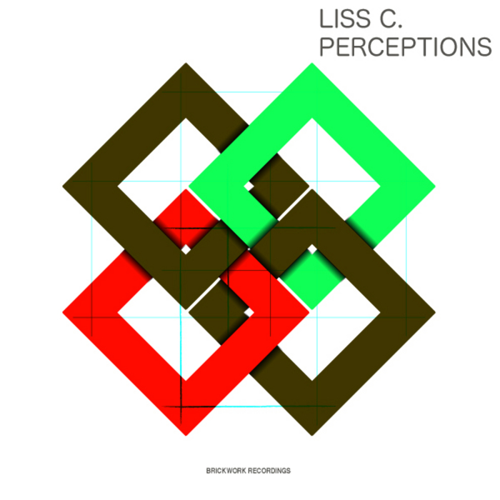 LISS C - Perceptions