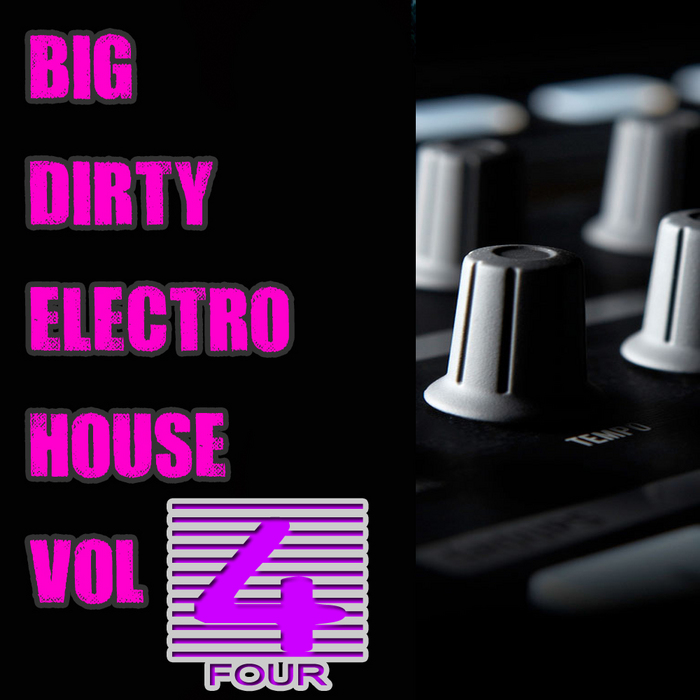 VARIOUS - Big Dirty Electro House Vol 4