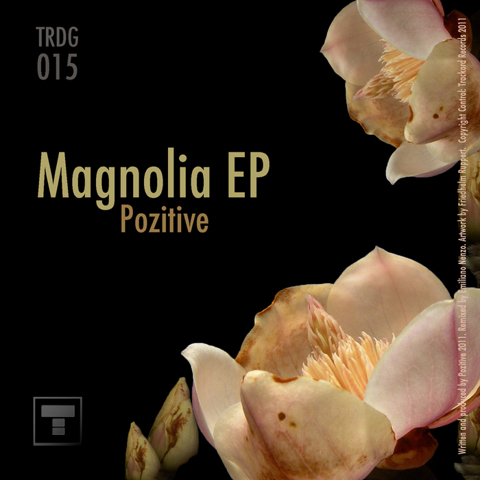 POZITIVE - Magnolia Ep