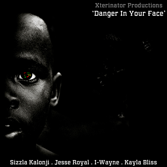 VARIOUS - Xterminator Productions Presents: Danger In Your Face