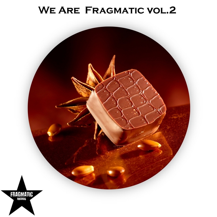 VARIOUS - We Are Fragmatic, Vol 2