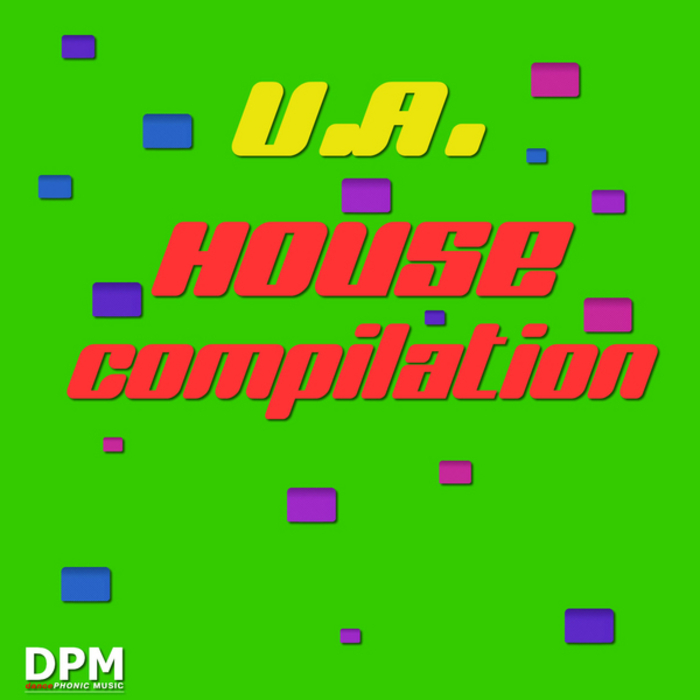 VARIOUS - House Compilation Vol 2