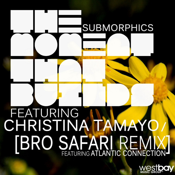 SUBMORPHICS feat CHRISTINA TAMAYO - The Moment That Builds