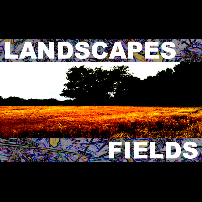 LANDSCAPES - Fields