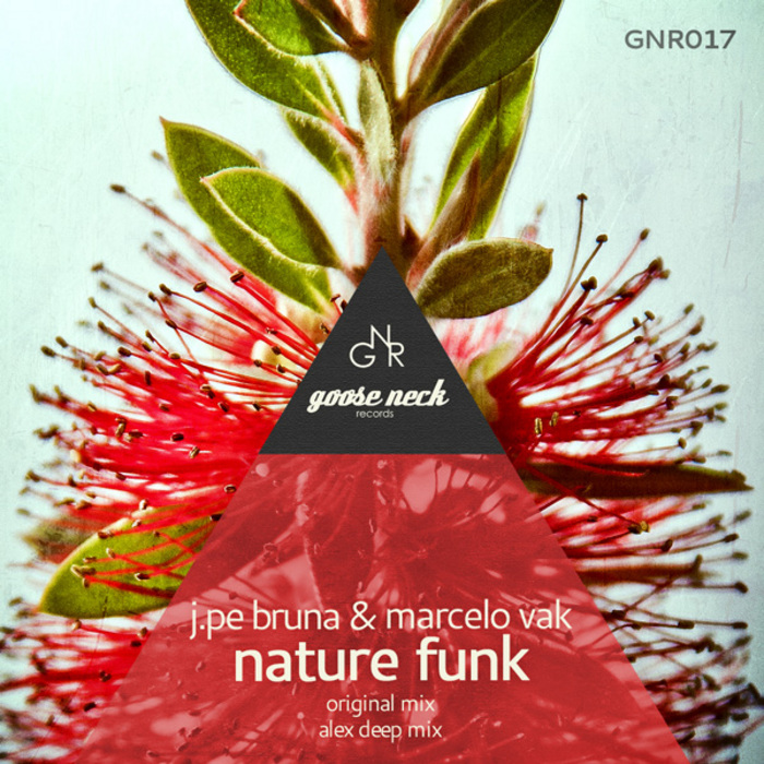 MARCELO VAK/J PE BRUNA - Nature Funk