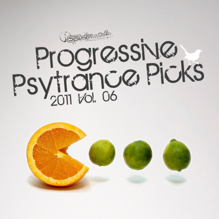 VARIOUS - Progressive Psy Trance Picks 2011 Vol 6