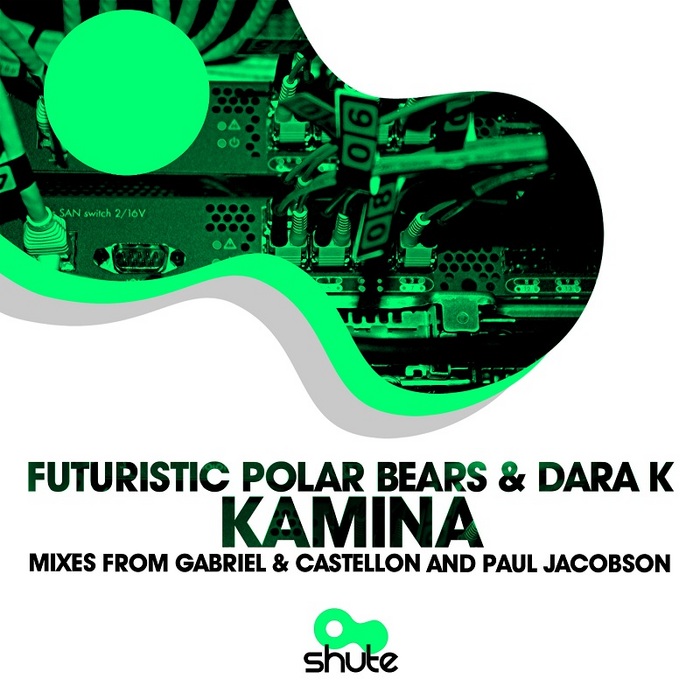 FUTURISTIC POLAR BEARS/DARA K - Kamina