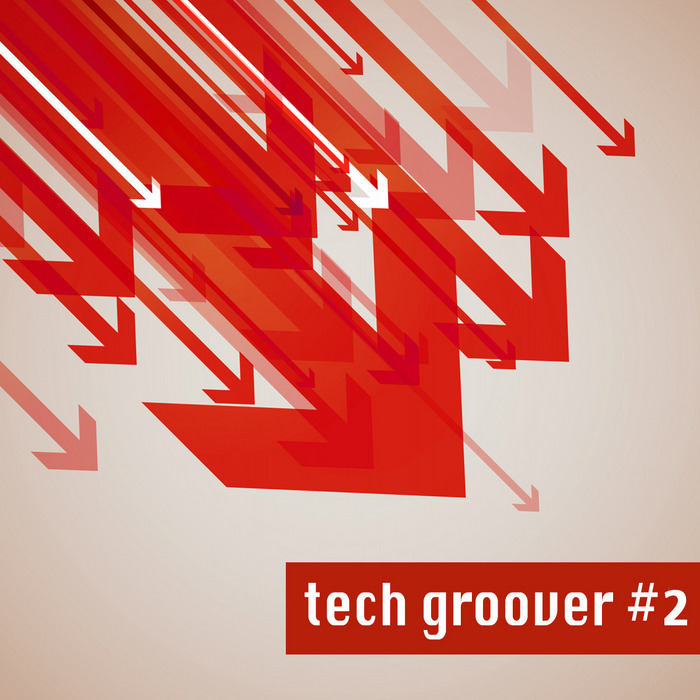 VARIOUS - Tech Groover 2