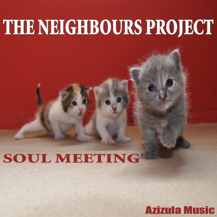NEIGHBOURS PROJECT, The - Soul Meeting