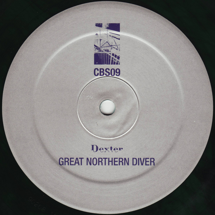 DEXTER - Great Northern Diver