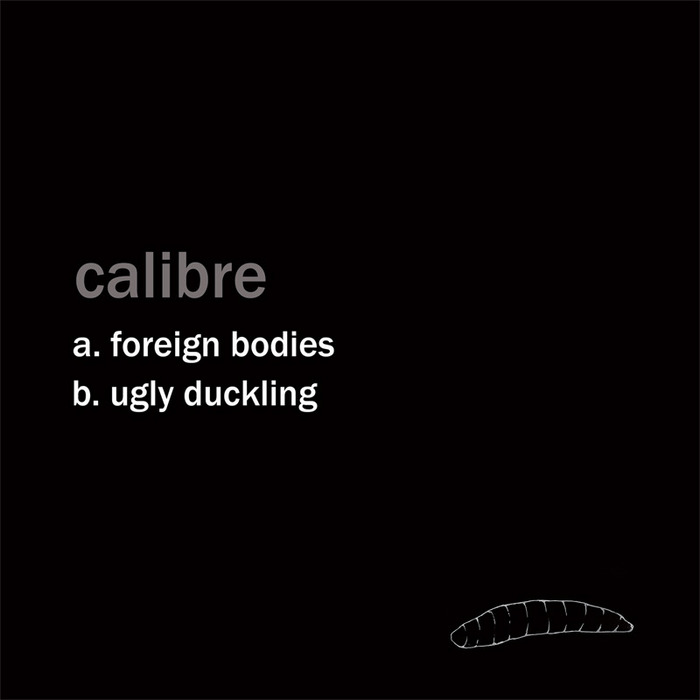 CALIBRE - Foreign Bodies