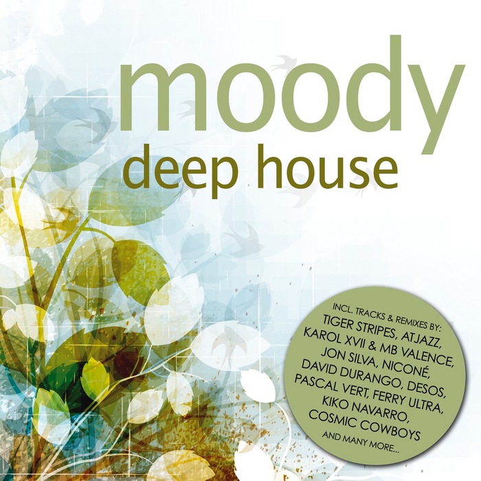 VARIOUS - Moody Deep House