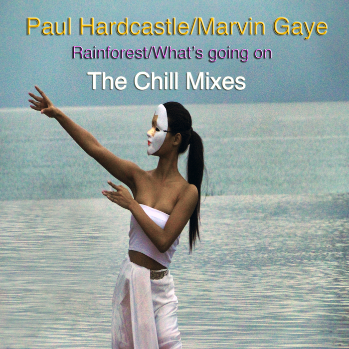 HARDCASTLE, Paul - Rainforest/Whats Going On (The Chill Mixes)