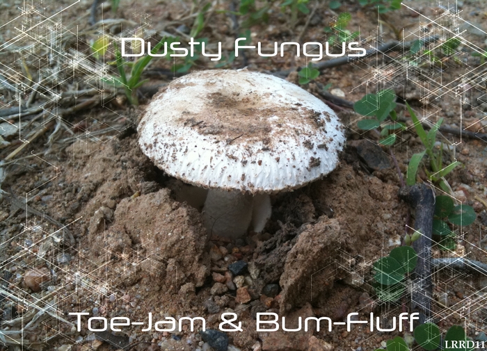 DUSTY FUNGUS - Toe Jam & Bum Fluff EP