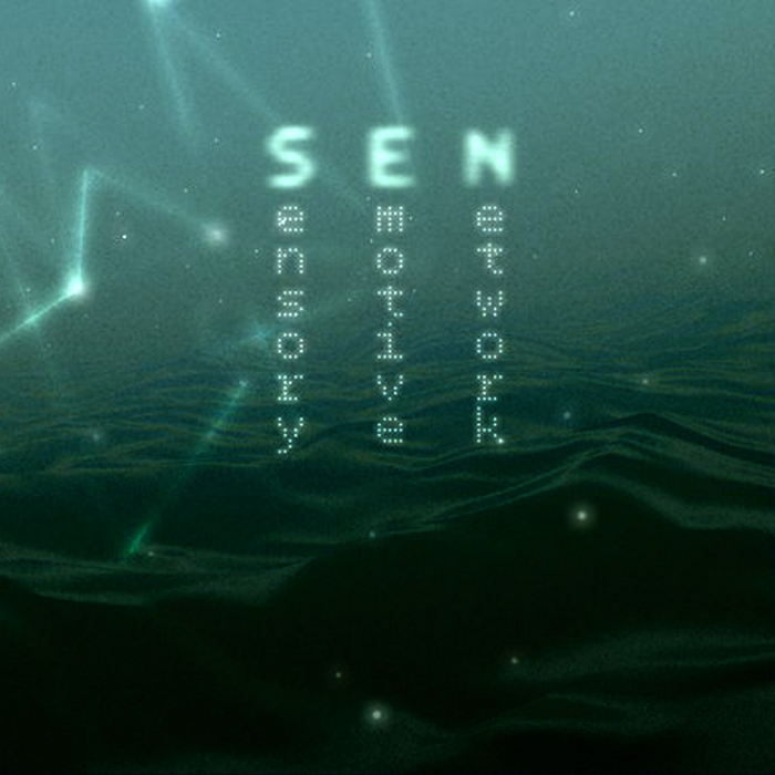 SEN - Sensory Emotive Network
