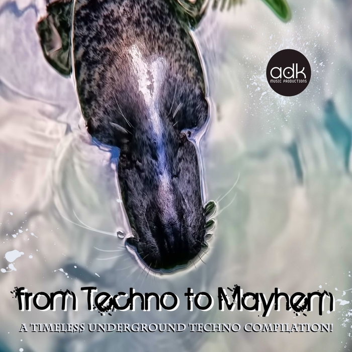 VARIOUS - From Techno To Mayhem (A Timeless Underground Techno Compilation)