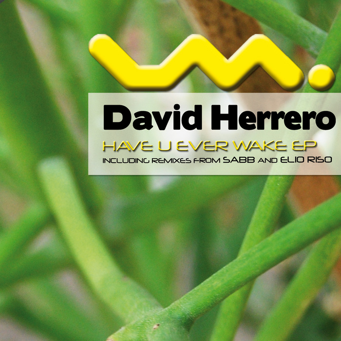HERRERO, David - Have You Ever Wake EP