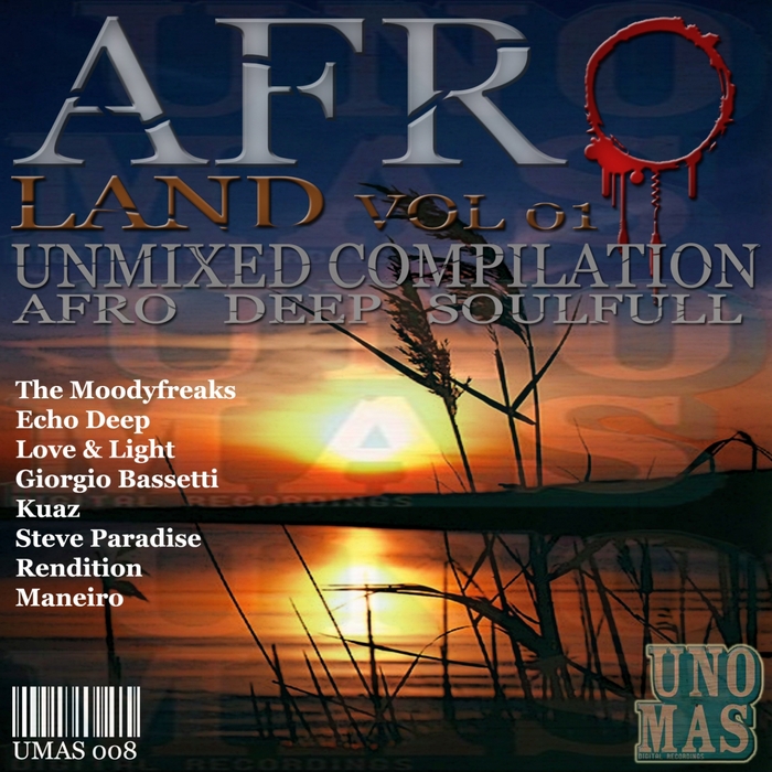 VARIOUS - Afro Land Vol 1