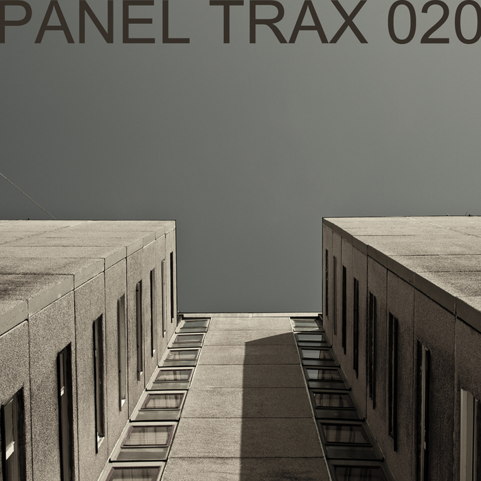 VARIOUS - Panel Trax 020