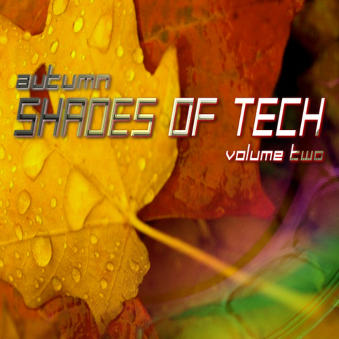 VARIOUS - Autum Shades Of Tech Volume 2