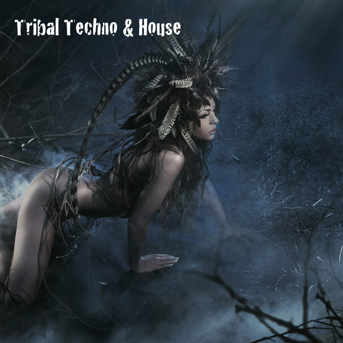 VARIOUS - Tribal Techno & House