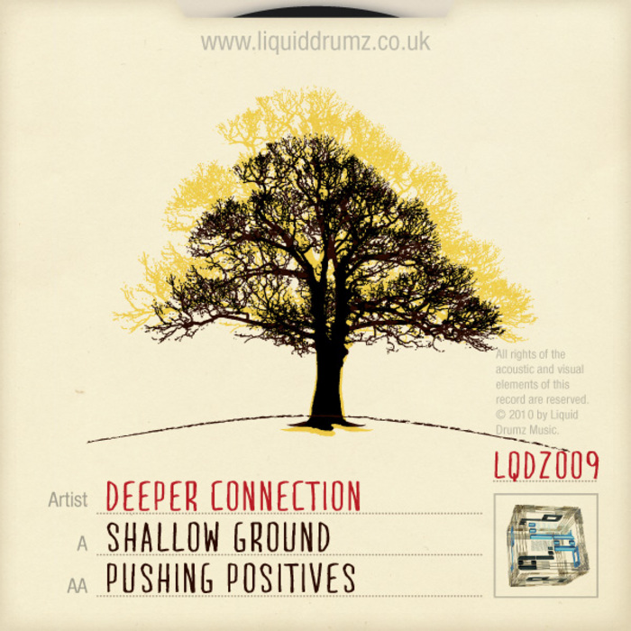 DEEPER CONNECTION - Shallow Ground & Pushing Positives
