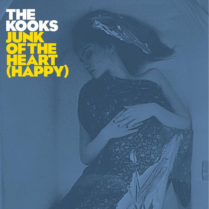 Alternative, Indie, Britpop The Kooks - Junk of the